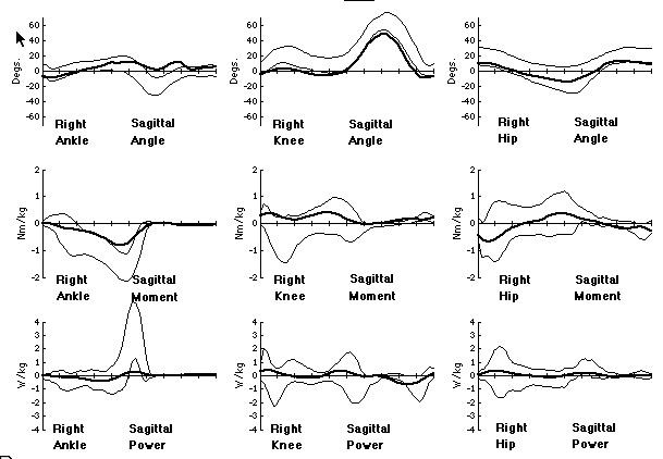 book stochastic