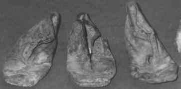 Concealed shoes from Pershore, Worcs.